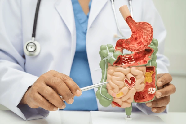 Porduct Category Digestive Care